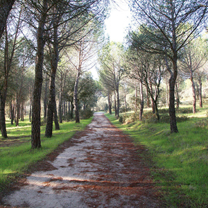 Lugar Monte de Valdelatas