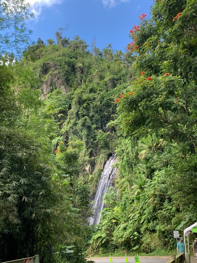 Lugar El Yunque National Forest