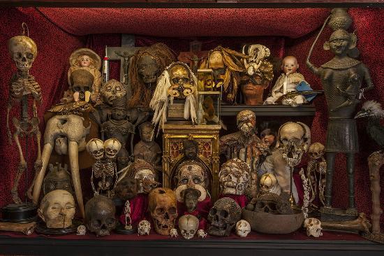 Places The Viktor Wynd Museum of Curiosities, Fine Art & Natural History