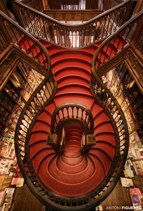 Fashion Livraria Lello