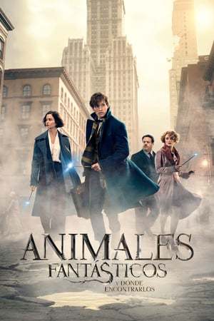 Película Animales fantásticos y dónde encontrarlos