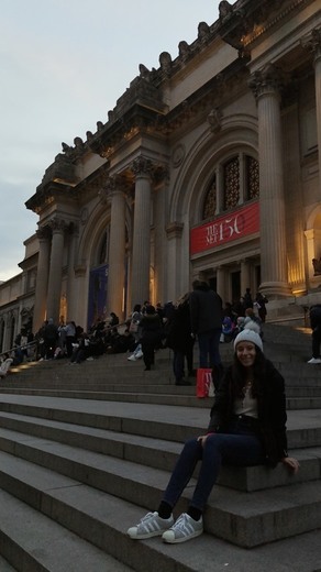 The Metropolitan Museum of Art