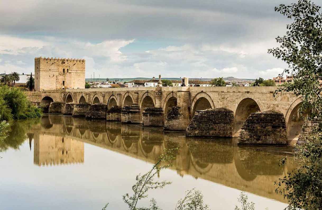 Fashion Puente romano 