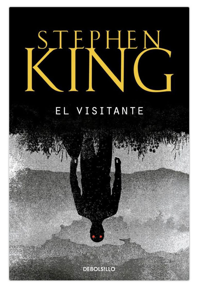 Libro El visitante 