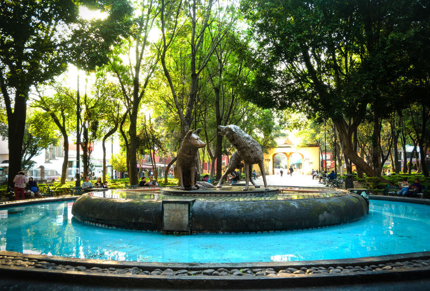 Restaurants Coyoacán