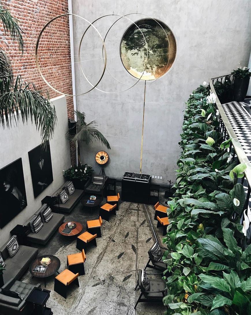 Restaurants Blanco Colima