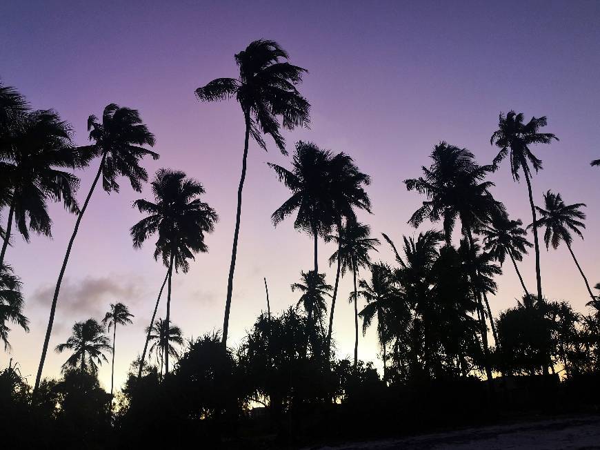 Lugar Zanzibar Island