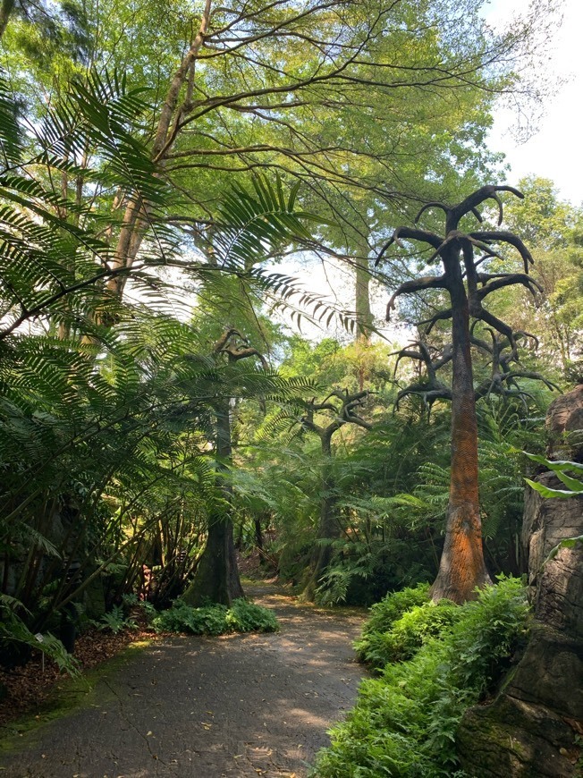 Lugar Jardín Botánico de Singapur