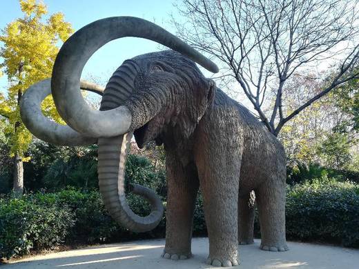 El mamut del parque de la Ciutadella: el vestigio de un zoo que no ...