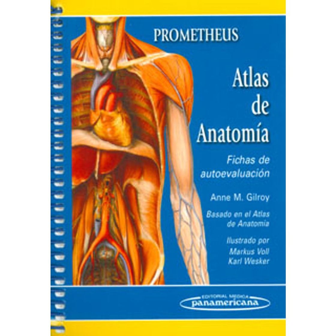 Book Atlas de Anatomía: Fichas de autoevaluación