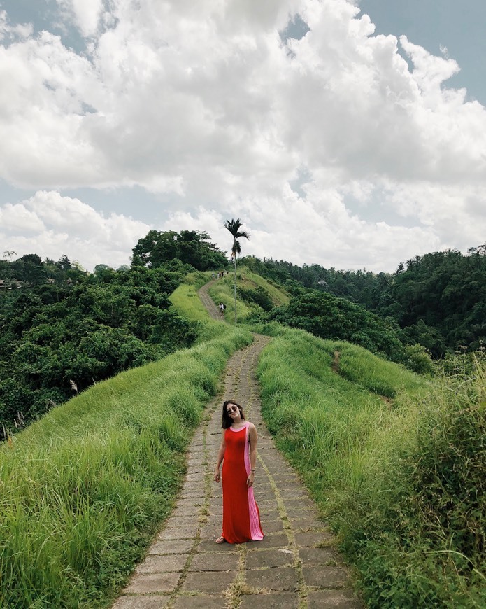 Place Campuhan Ridge Walk UBUD