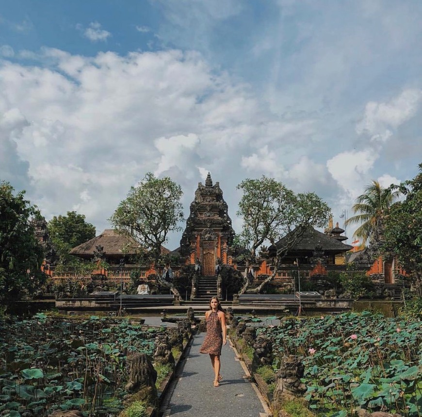 Places Ubud Water Palace