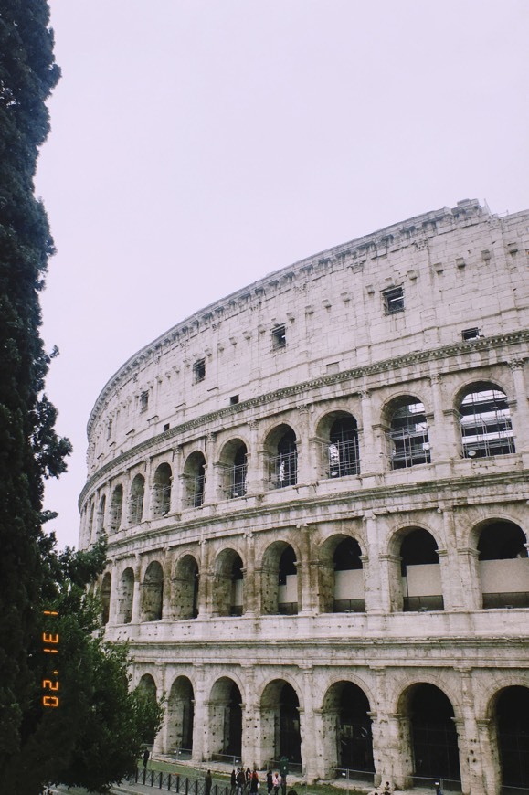 Lugar Coliseo de Roma