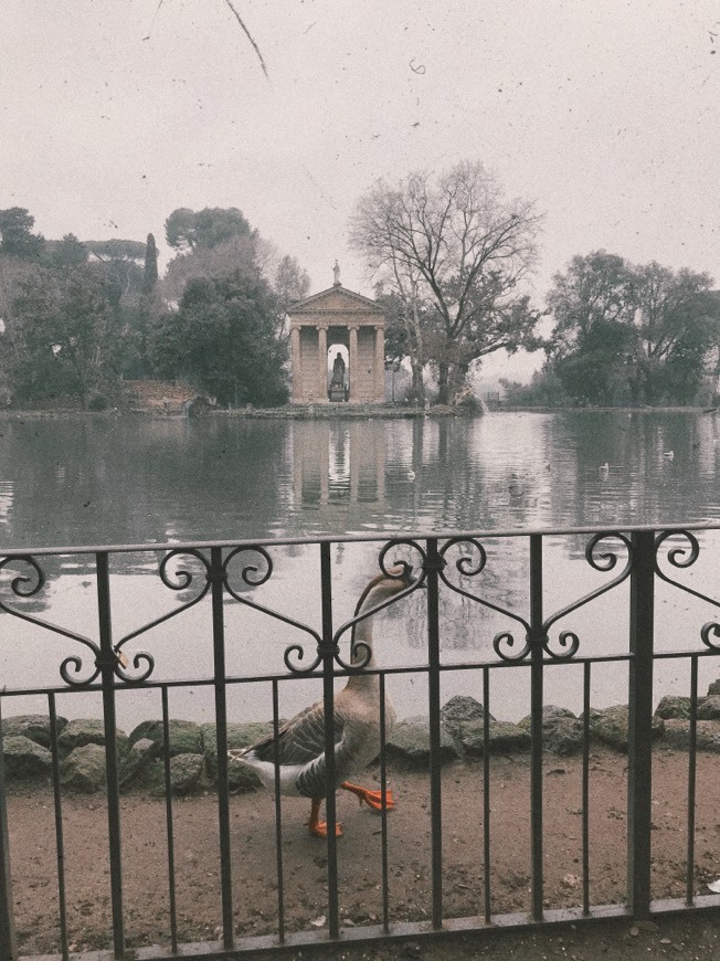 Place Villa Borghese