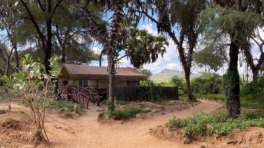 Elephant Bedroom Camp