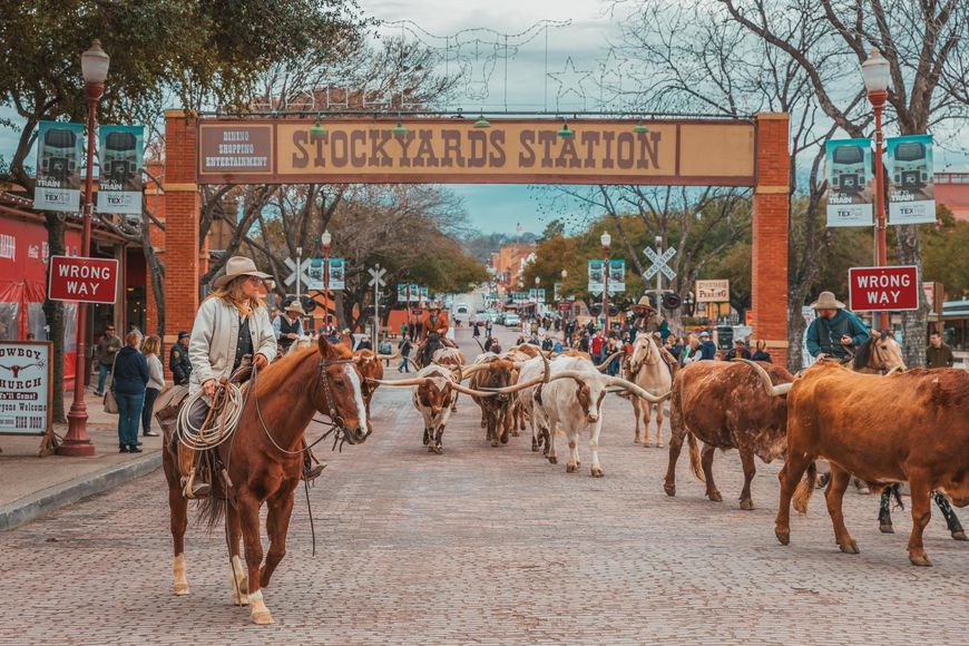 Place Stockyards