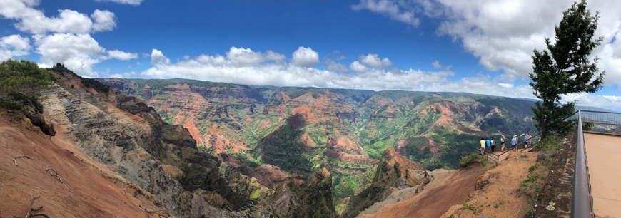 Place Waimea Canyon Trail