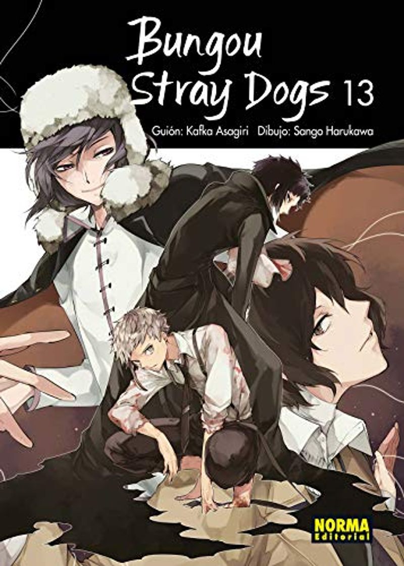 Book Bungou Stray Dogs 13