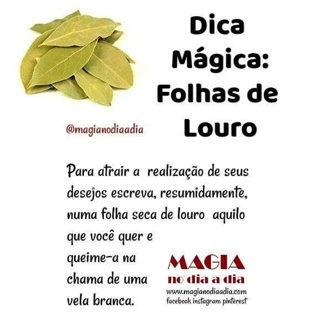 Moda Magia com Louro 🍃