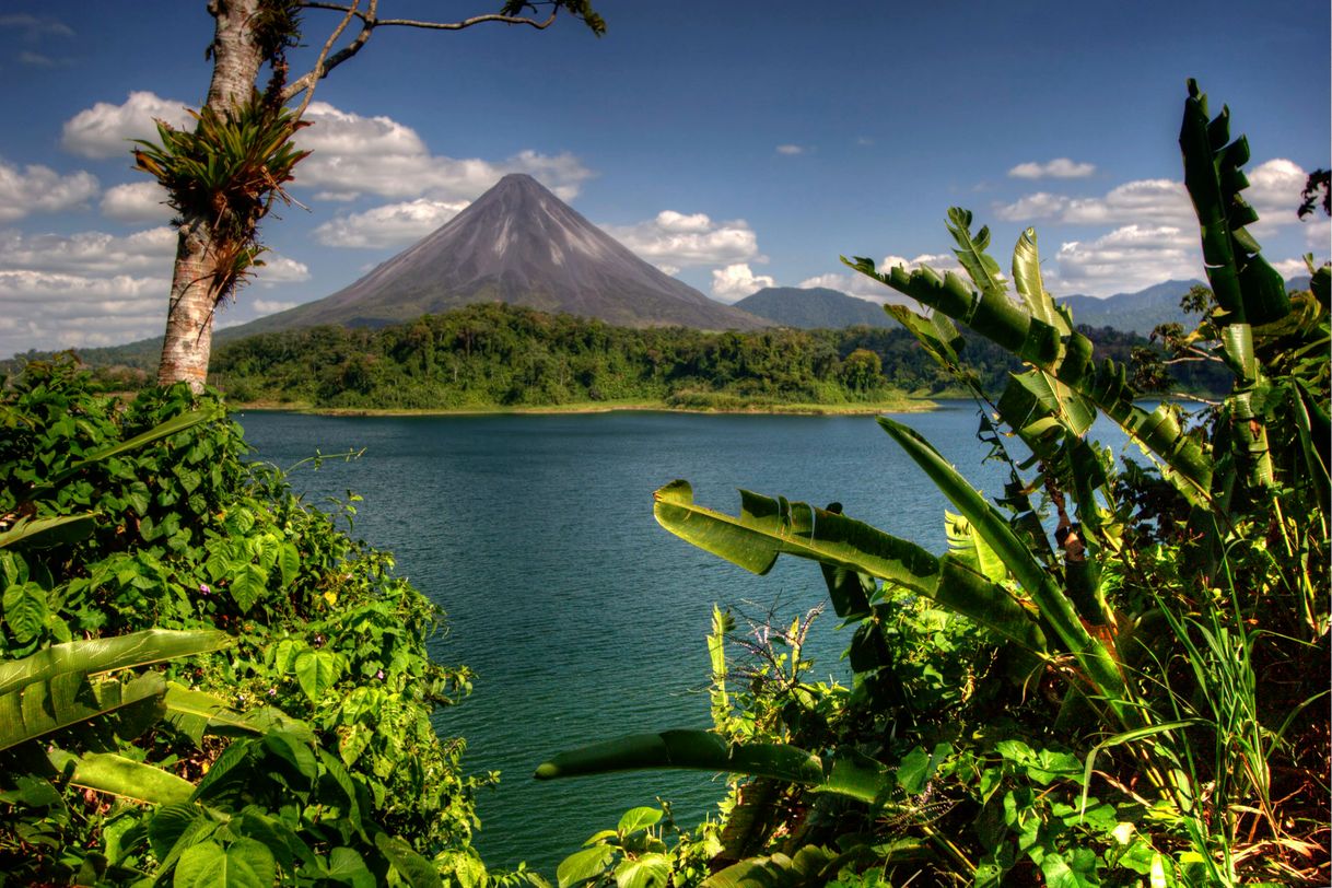 Lugar Parque Nacional Volcán Arenal