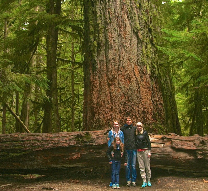 Places Cathedral Grove