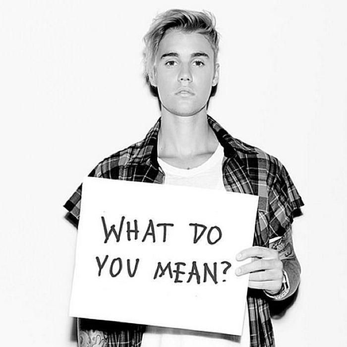 Canción What Do You Mean?