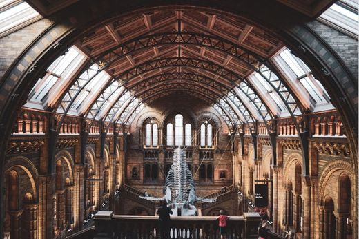 Natural History Museum