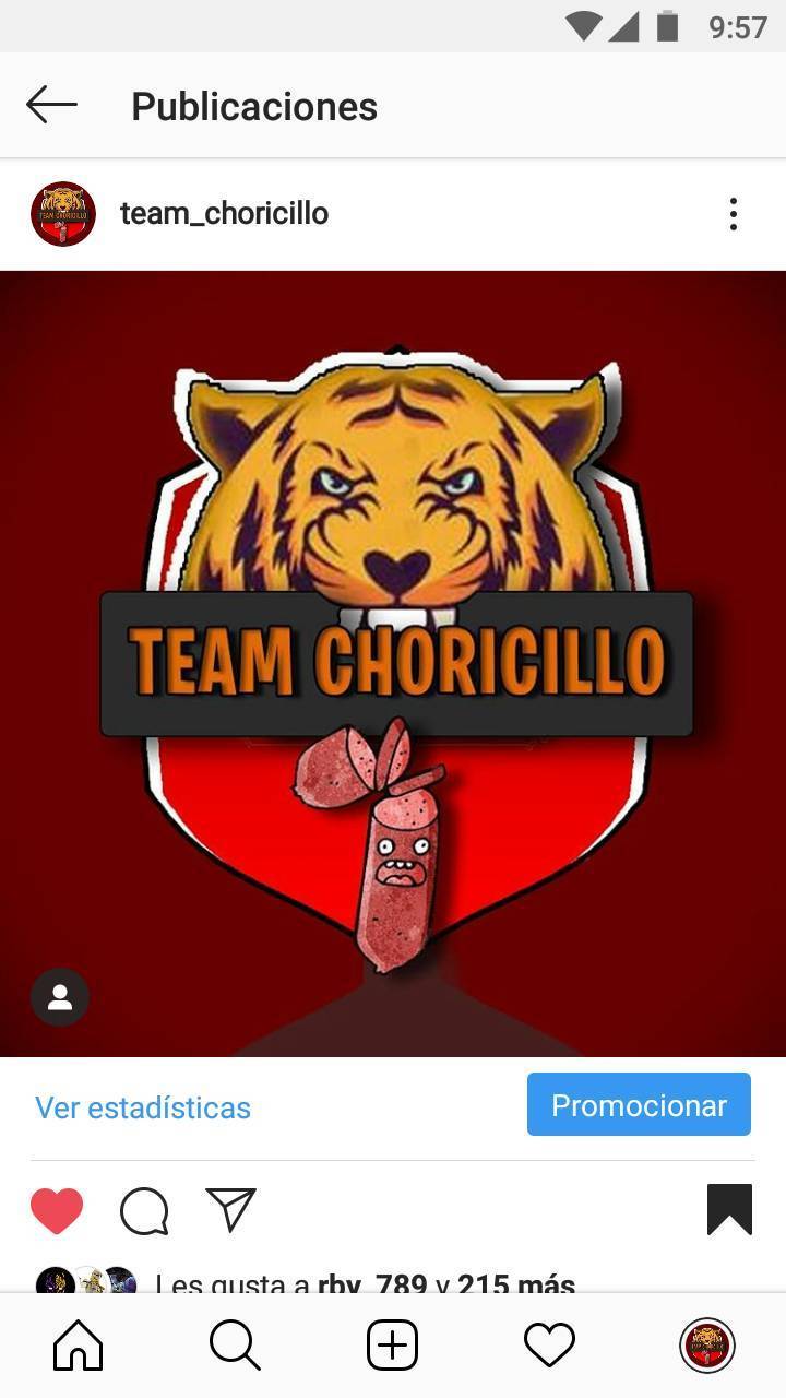 Videogames Team_Chorizillo