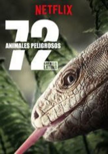 72 animales peligrosos: América Latina | Sitio oficial de Netflix