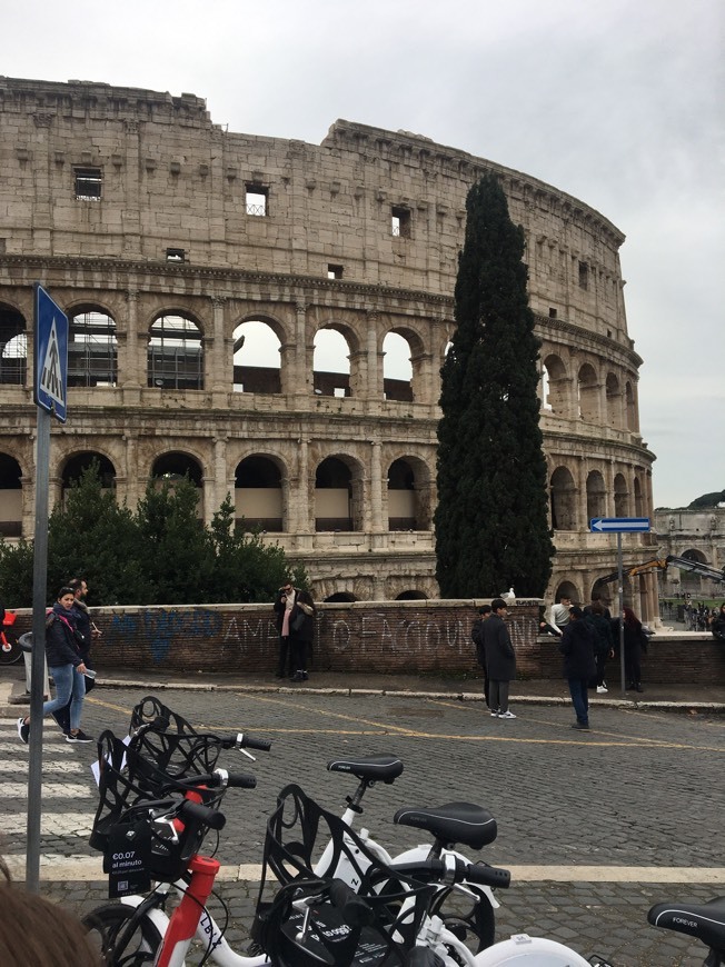 Lugar Coliseo de Roma