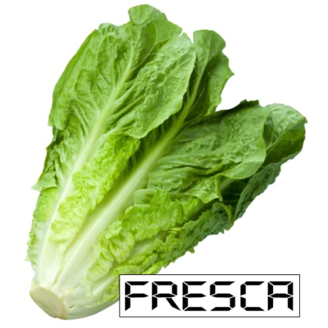 Producto Lechuga Paralela