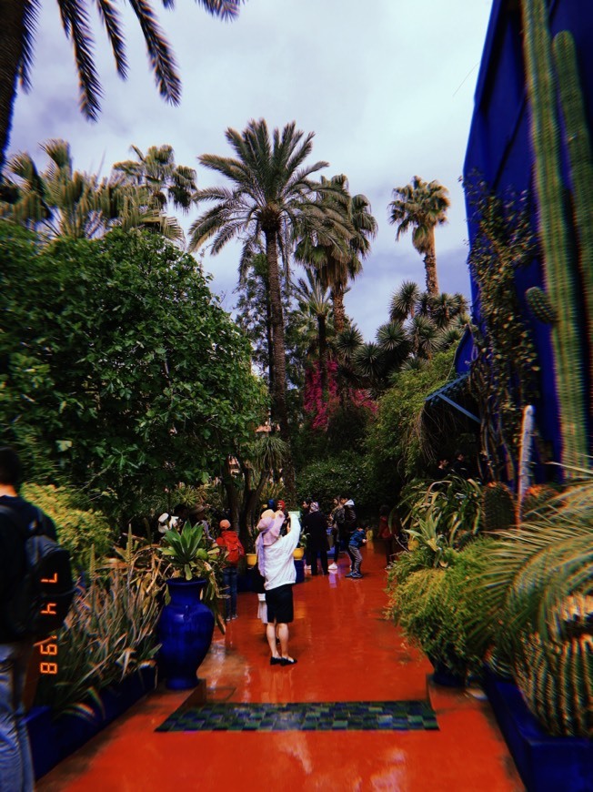 Lugar Jardín Majorelle