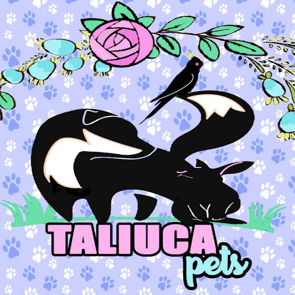 Fashion Taliuca Pets - YouTube