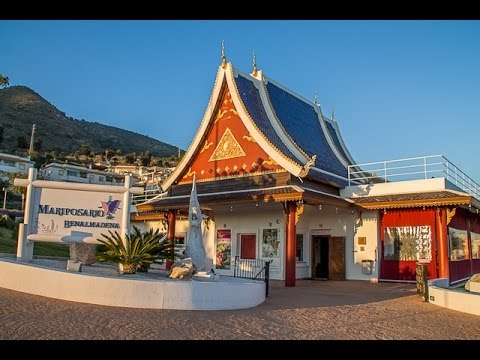 Place Mariposario de Benalmádena