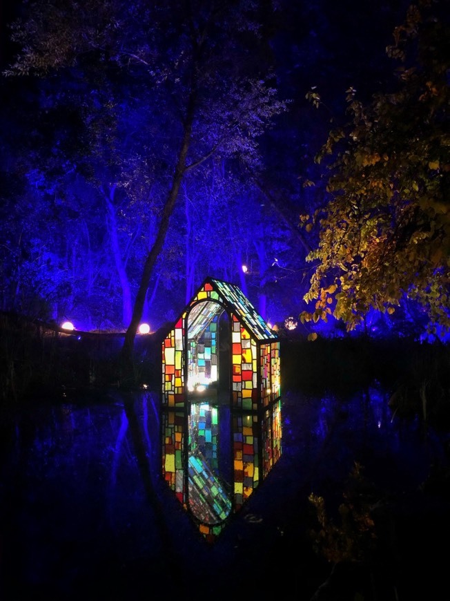 Place Enchanted: Forest Of Light