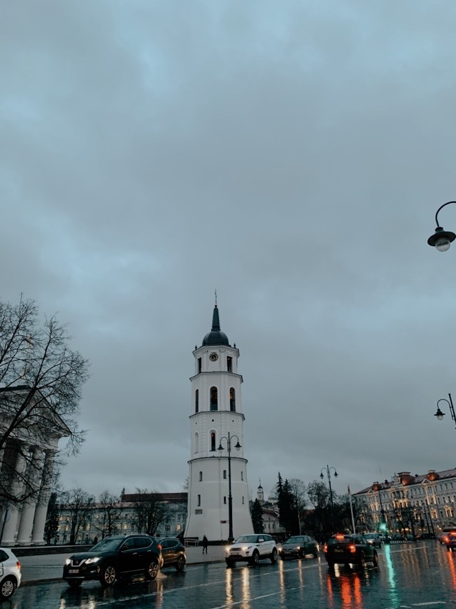 Lugar Vilnius Cathedral