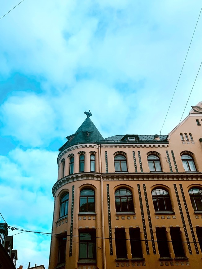 Place Cat House, Riga 