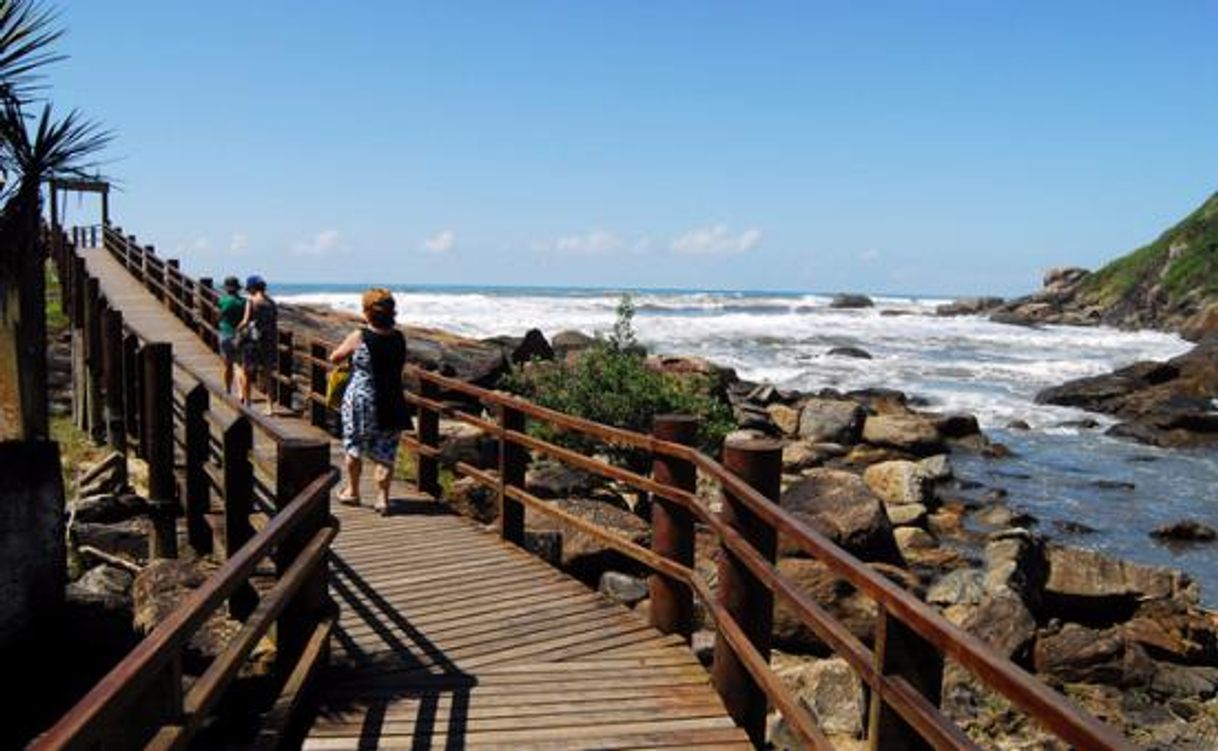 Lugar Praia dos Sonhos