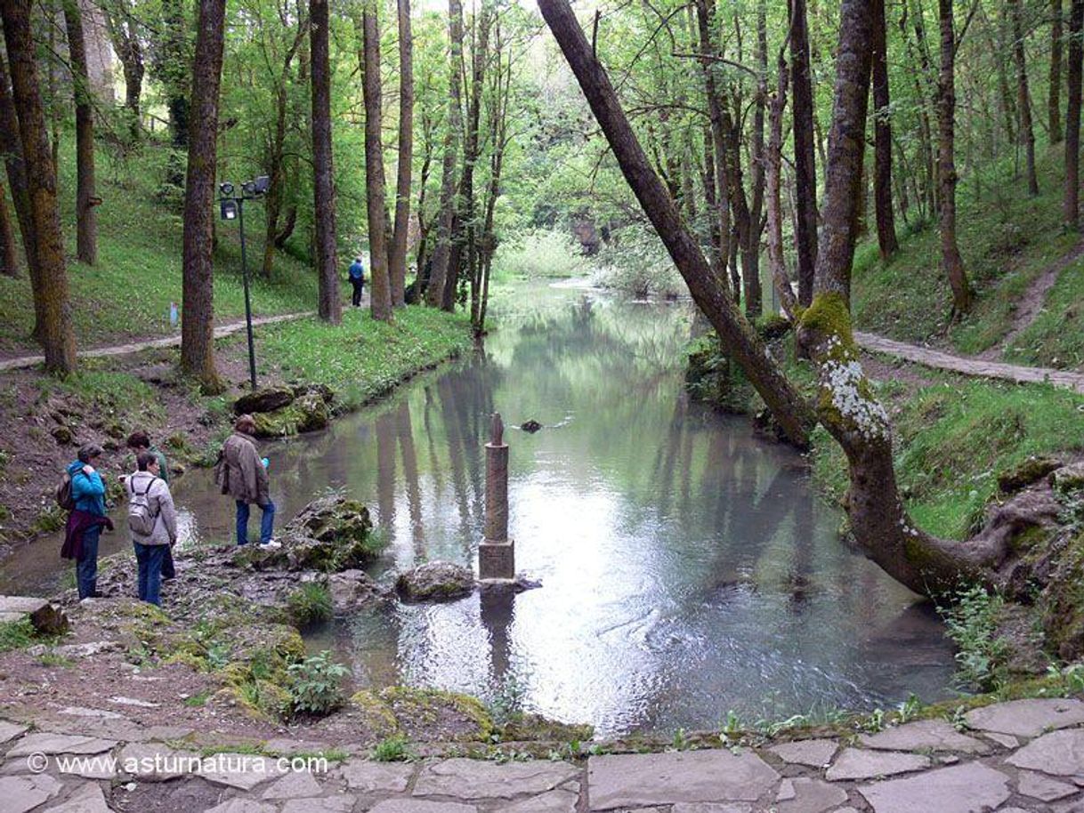 Place Nacimiento del Río Ebro