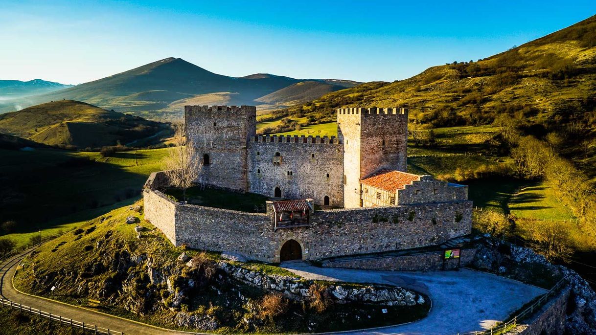 Place Castillo de Argüeso