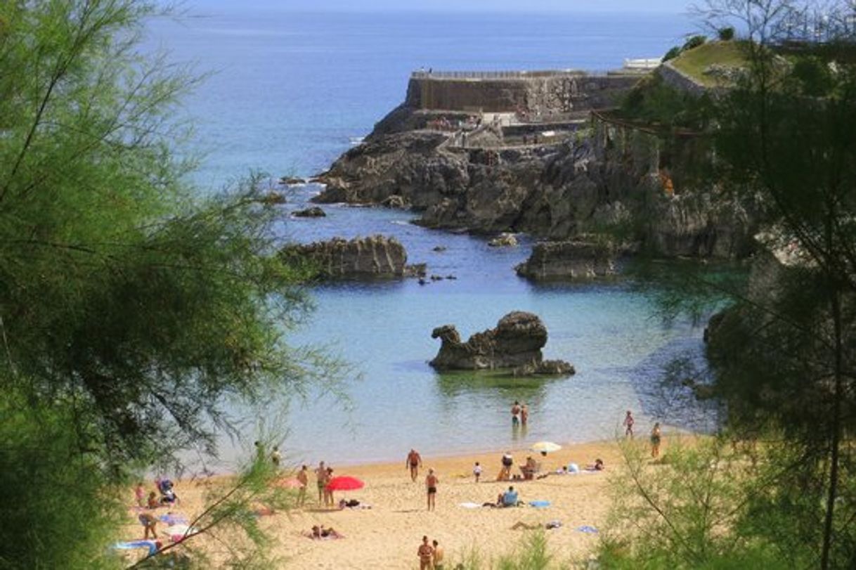 Place Playa del Camello