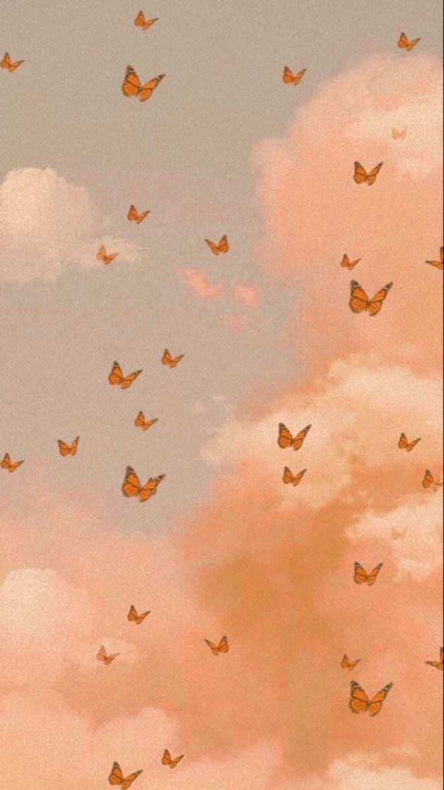 Social 🦋𝑩𝒖𝒕𝒕𝒆𝒓𝒇𝒍𝒚 𝑾𝒂𝒍𝒍𝒑𝒂𝒑𝒆𝒓🦋