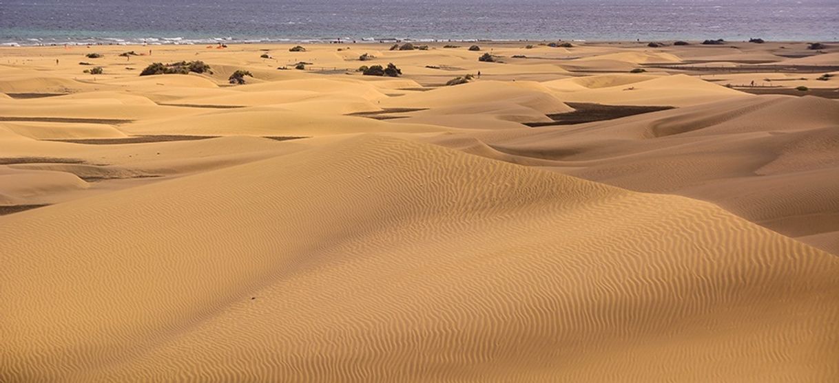 Place Dunas de Maspalomas