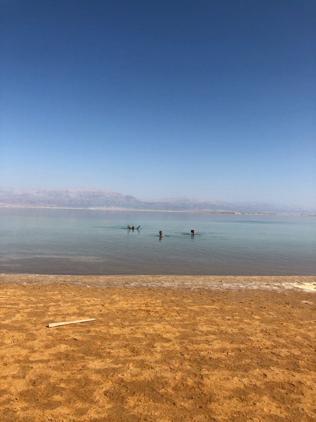 Lugares Dead Sea Beach