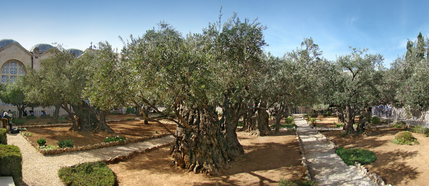 Lugares Gethsemane