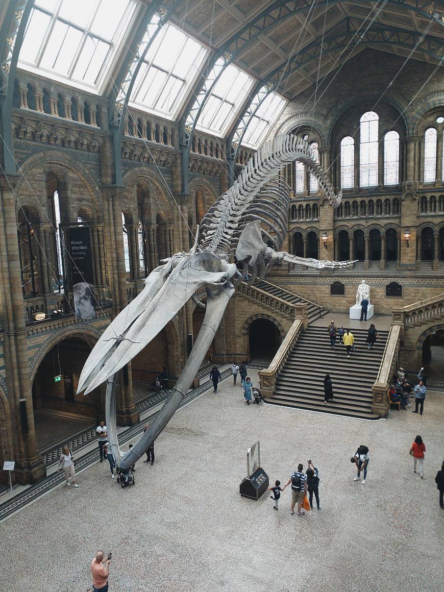 Place National History Museum