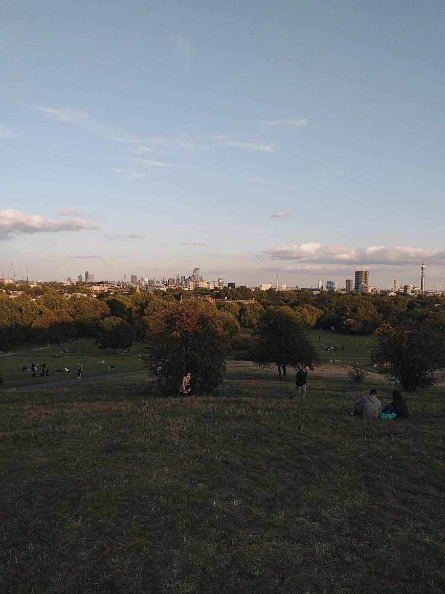 Place Primrose Hill