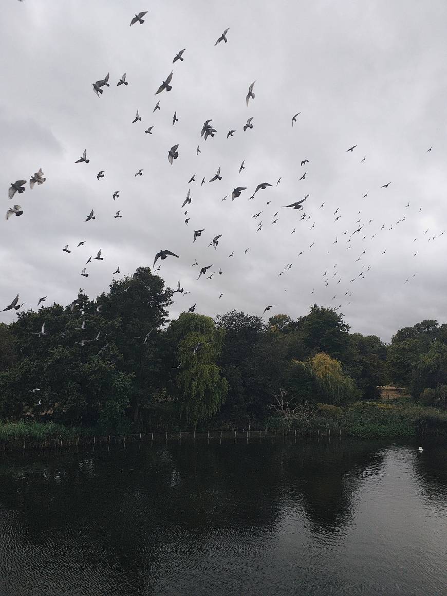 Place Hyde Park
