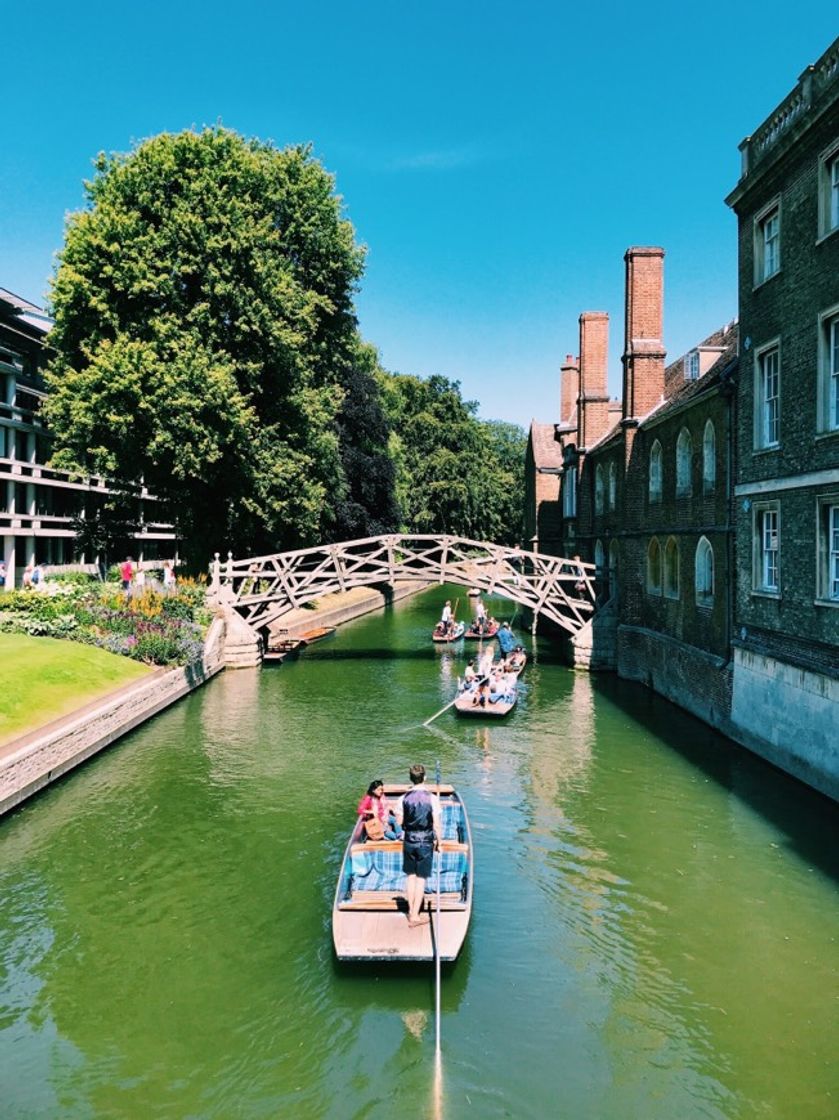 Lugar Mathematical Bridge