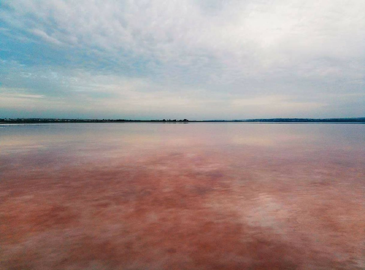 Lugar Laguna rosa Torrevieja